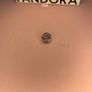 Pandora Reflexion Charm - Brand new Image 2
