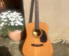 guitar valencia