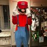 Super Mario Mascot Costume Image 3