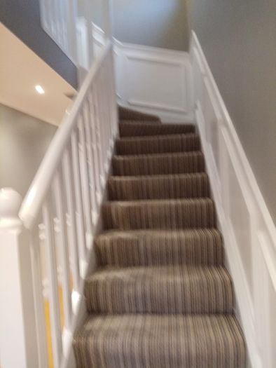 Painter decorator (s.c.s.painters)
