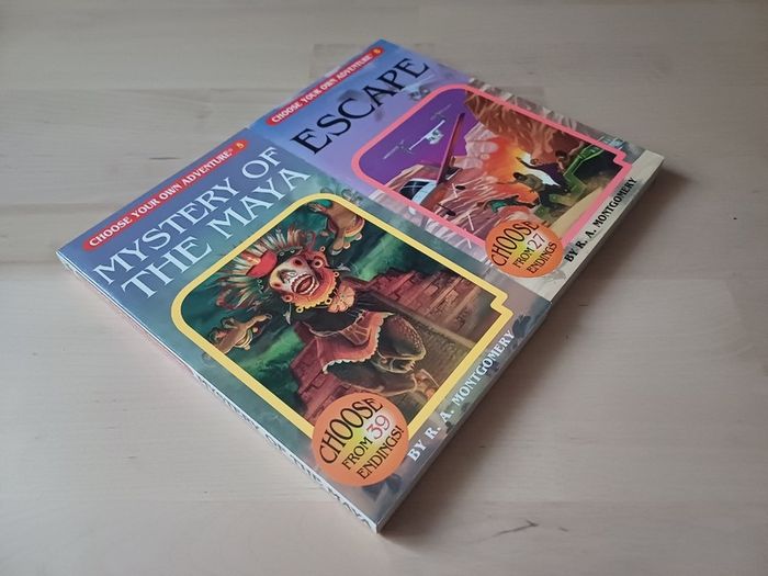 Choose Your Own Adventure by R.A. Montgomery (Illustrated Fantasy Retro Game Books 2005 NEW)