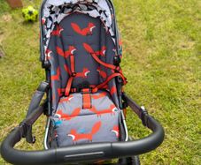 Stroller, buggy and car seat for newborn