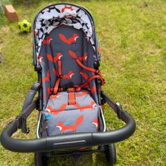 Stroller, buggy and car seat for newborn