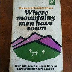 Cork history