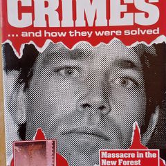 Real Life Crimes