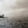 Ash - Islands. Played twice and like new. Gatefold sleeve with insert and printed inner sleeve. Image 7