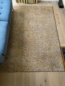 Beige/Mustard Shaggy Rug