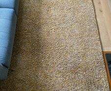 Beige/Mustard Shaggy Rug