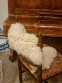 Genuine Sheepskin rug