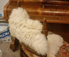 Genuine Sheepskin rug