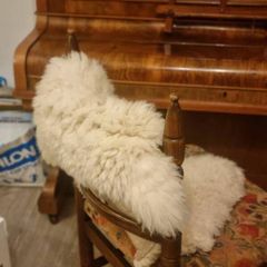 Genuine Sheepskin rug