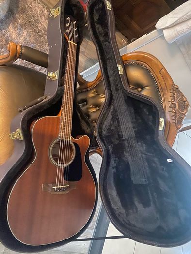 Takamine G Series