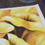 Yellow Cala lylies oil on canvas. Image 3