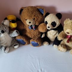 5 Extra Large Teddy Bears Good Condition