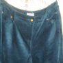 turquoise blue velvet jacket and trousers size 16 Image 2