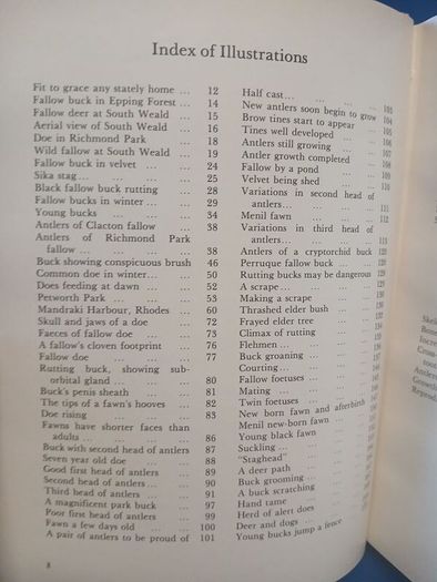 Fallow Deer book