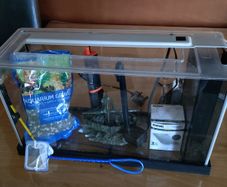 fish tank