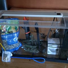 fish tank