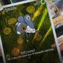 Nymble ! Illustration Rare ! from Phantasmal Flames Set ! 2025 ! Pokemon Card ! Image 3