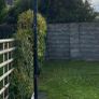 Basket Ball Net  and Stand Image 2