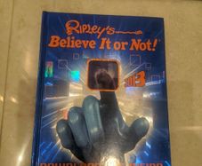RIPLEY'S Believe It or Not 2013