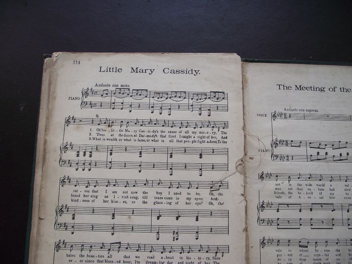 1900 'Gem Selection. Songs of Ireland'