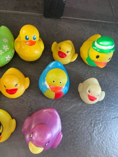 Ducks