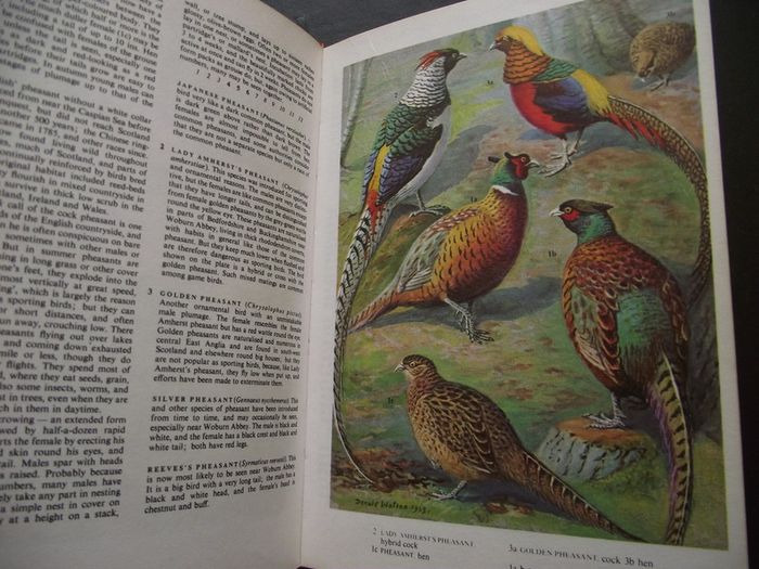 1972 "The Oxford Book of Birds"