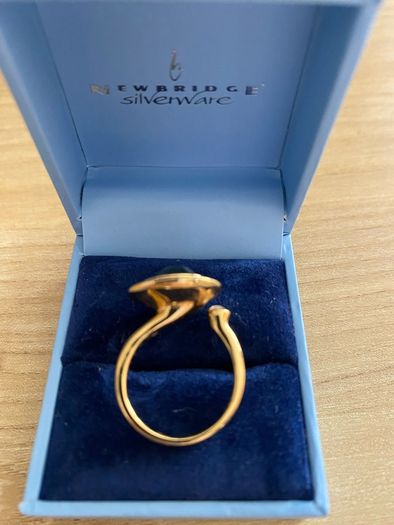 Newbridge Silverware ring with Montana coloured stone