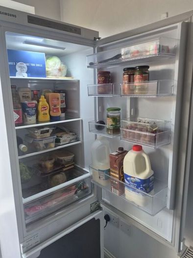samsung integrated fridge
