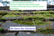 Professional Moss, Algae &amp; Lichens Cleaner