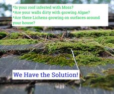 Professional Moss, Algae & Lichens Cleaner
