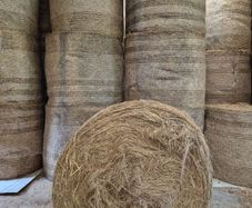 2025 Hay for sale. Horse Hay.