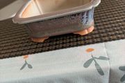 bonsai pot