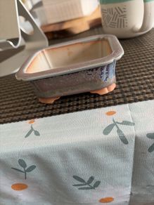 bonsai pot