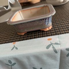 bonsai pot