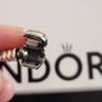 Pandora Image 4