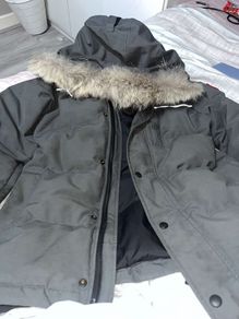 canada goose