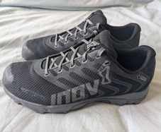 Inov8 Roclite 282 GTX