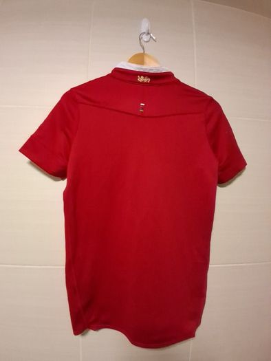 British and Irish Lions Jersey. Official Canterbury Home Jersey In Youths Age 14 Years.  Collect In Dublin Or Receive Via Post.