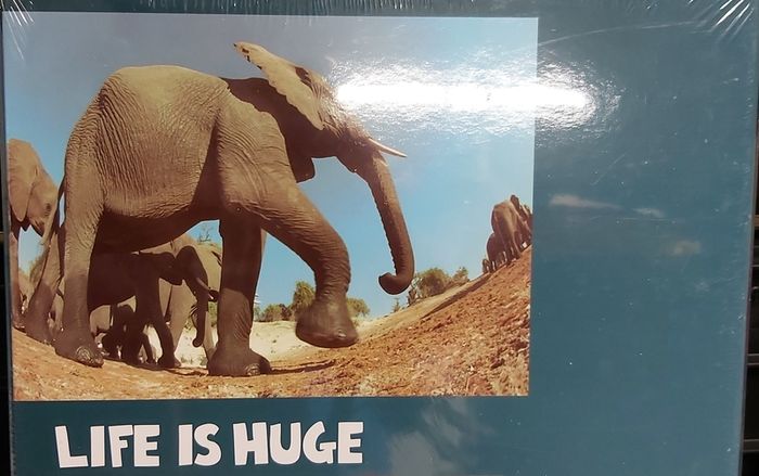 New Puzzle (dc 1236)