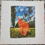LP Pink Floyd : Wish you were here , Harvest 2c068-96918 ,Vinyl LP Album (stereo) France 1975, Vinyl VG+. Image 9