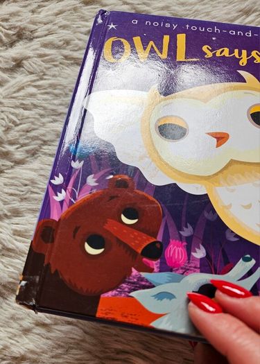 Owl Says Hoot - A Noisy Touch-and-Feel Night Book