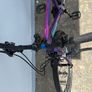 Bicycle Ridgeback 24 Image 2