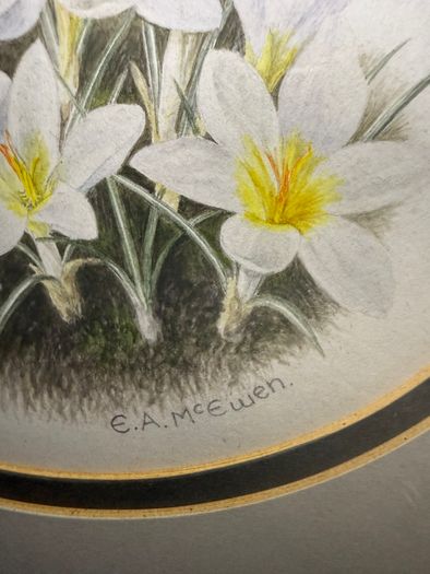 Original E.A. McEwen Watercolour - Crocuses - Signed - Belfast Artist