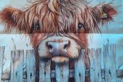 Highland Cow cushion cover