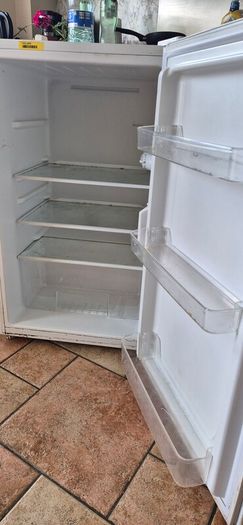 Compact Thor Under-Counter Fridge
