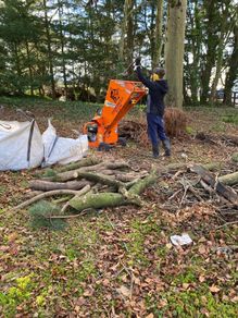 Tree removals