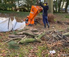 Tree removals
