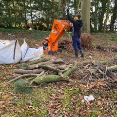 Tree removals